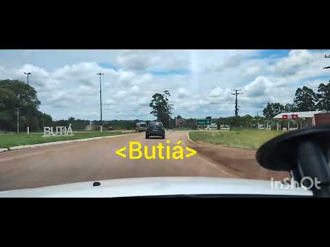 #riograndedosul #gauchoraizférias  #pampas #infracao #Butia#br290 