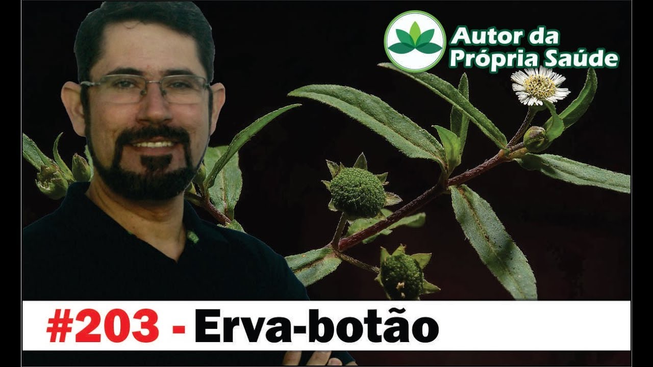 Autor da Própria Saúde - Erva botão [diabetes, hipertensão, emagrecimento, fígado, HIV]