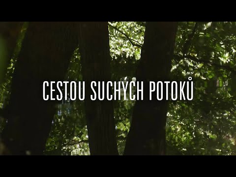Cestou suchých potoků