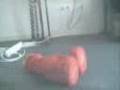 TMX ELMO