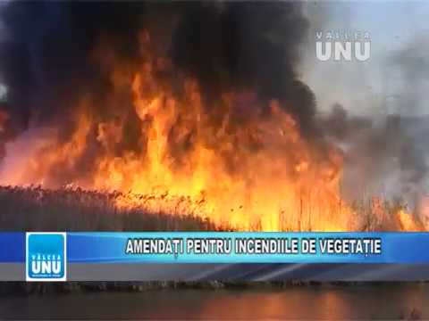 STIRILE TV VALCEA UNU - JOI 14 MARTIE 2019