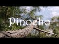 Pinocho De Carlo Collodi Audiolibro Capítulo 36 Final