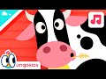 OLD MACDONALD HAD A FARM Nursery Rhymes Kids Songs Lingokids