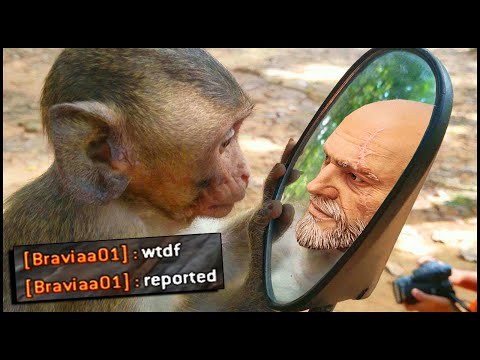 Why is it always a Gryphon that gets salty...