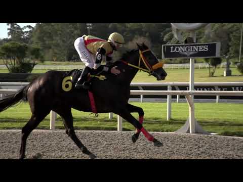 210606 c03 PRINCESS LECA