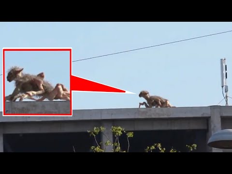9 СТРАШНЫХ ВИДЕО КОТОРЫЕ ВЫ НИГДЕ НЕ ВИДЕЛИ