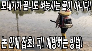 20년차 벼농사꾼이 알려주는 모내기 끝나고 논 잡초방제 시기! 잡초, 피 방제하는 방법! spraying h…