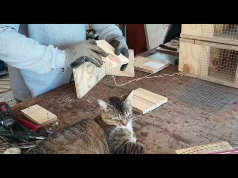 how to make rat traps part 2