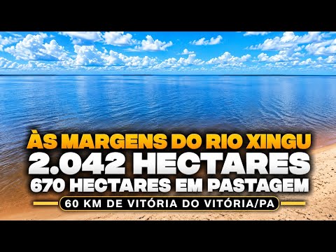 FAZENDA ÀS MARGENS DO RIO XINGU DE 2.042 HECTARES COM 670 HECTARES EM PASTAGEM A 60 KM DE VTX/PA