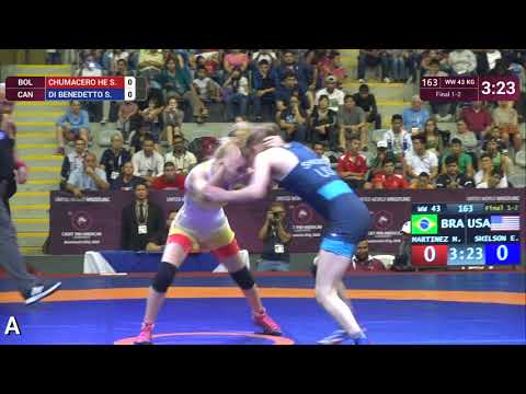 GOLD WW - 43 kg: H. MARTINEZ (BRA) v. E. SHILSON (USA)
