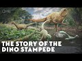 The Story Of The Dino Stampede