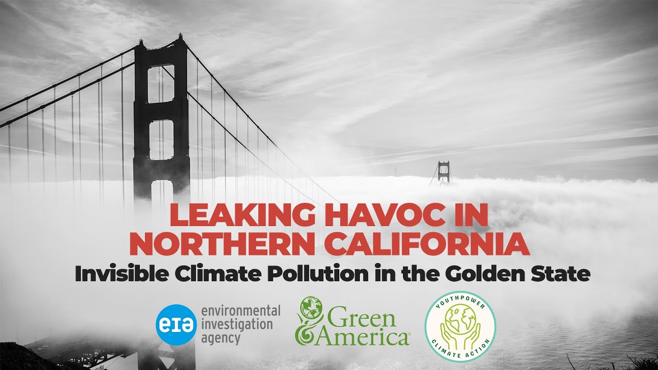 Leaking Havoc in Northern California