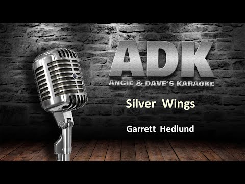 ADK - Garrett Hedlund - Silver Wings - Karaoke