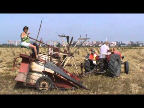 Landb. Houthoofdt - Slijpe