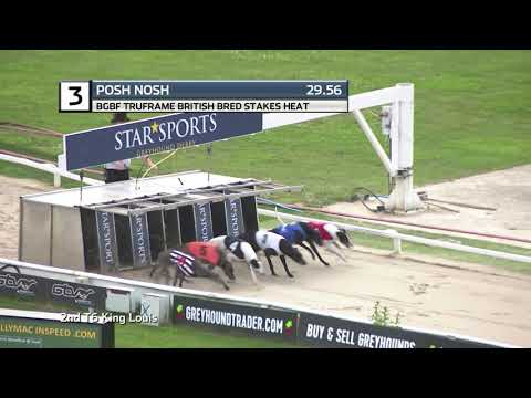 2021 BRITISH BRED STAKES - HEAT 1 - T3 POSH NOSH