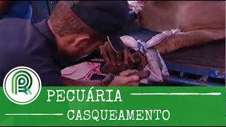 Miniatura do vídeo