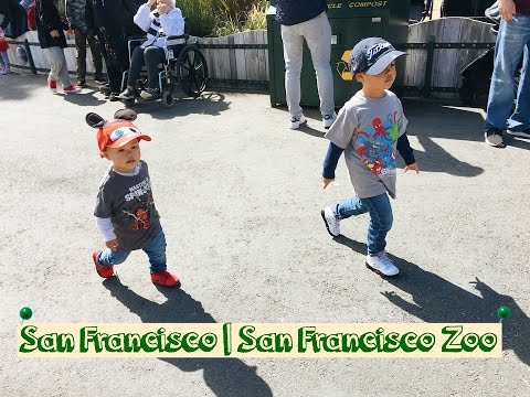 download lagu mp3 mp4 Free Admission To Sf Zoo, download lagu Free Admission To Sf Zoo gratis, unduh video klip Free Admission To Sf Zoo
