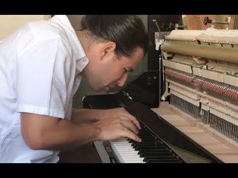 Michael Jackson "Thriller" by Alfredo Rodriguez