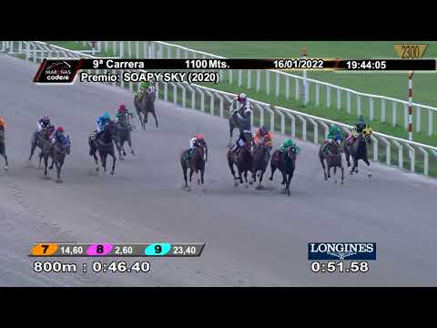 220116 c09 SUGESTIVO LAWYER