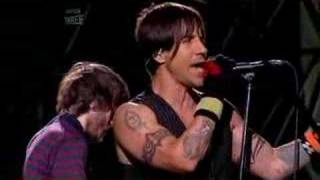 Red Hot Chili Peppers (live) Reading Festival - C&#39;mon Girl