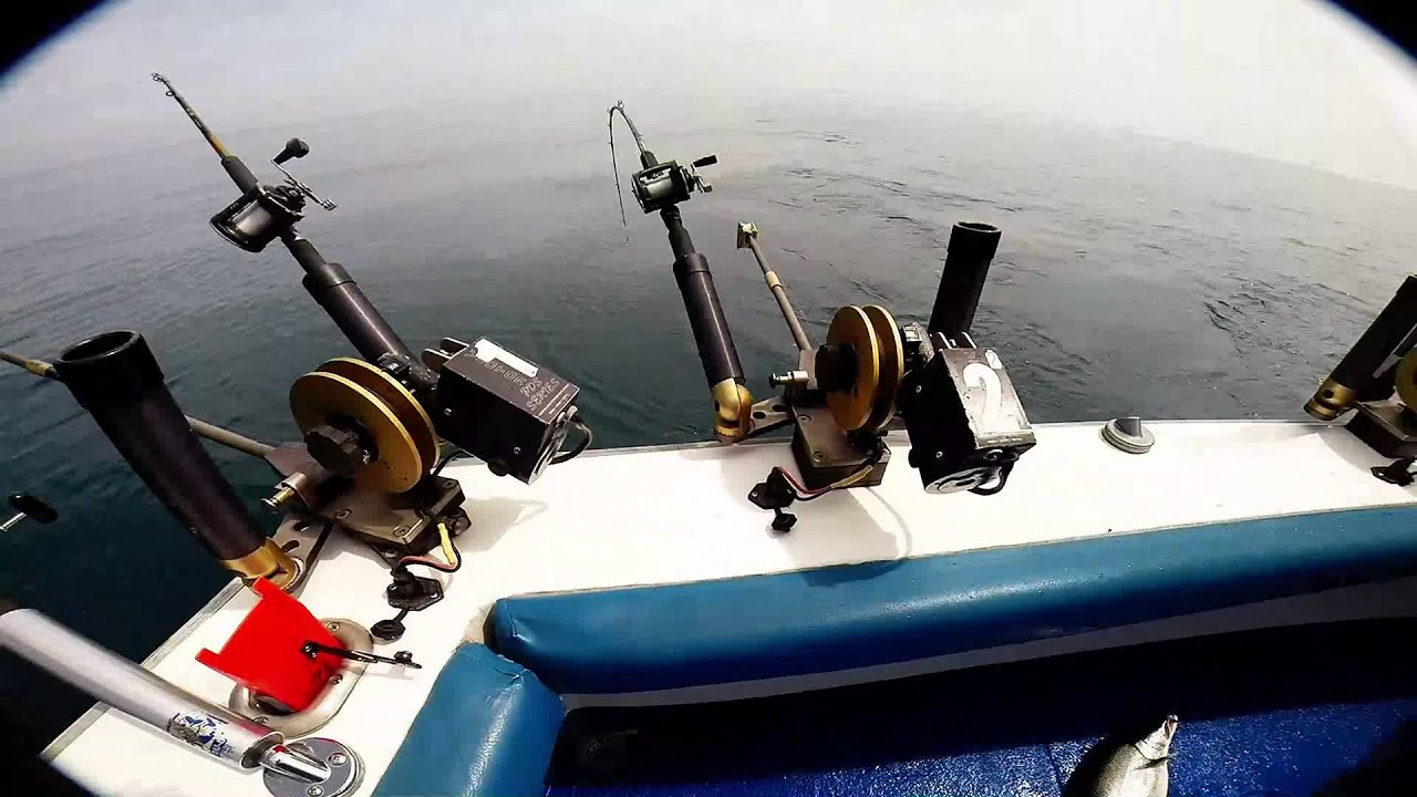 Angler Fishing