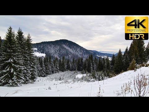 Mountain Zlatar, Serbia in 4K 60FPS