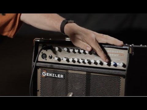 Genzler Amplification Acoustic Array Pro combo image 3