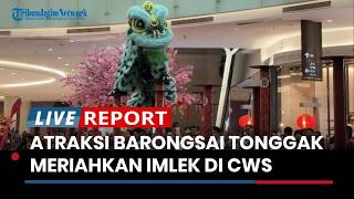 Download lagu Atraksi Barongsai Tonggak hingga Mulan The Musical Meriahkan Imlek di Ciputra Mall Surabaya mp3