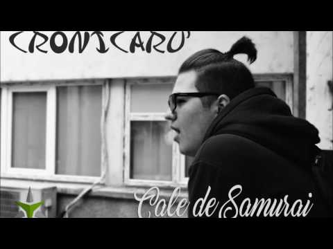 Cronicaru' - Cale de Samurai