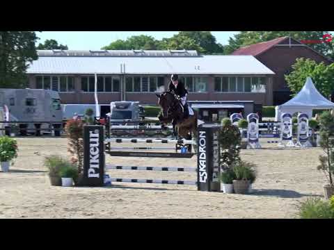 Bronze für Charaktervoll und Rolf-Göran Bengtsson im Landeschampionat der Sechsjährigen