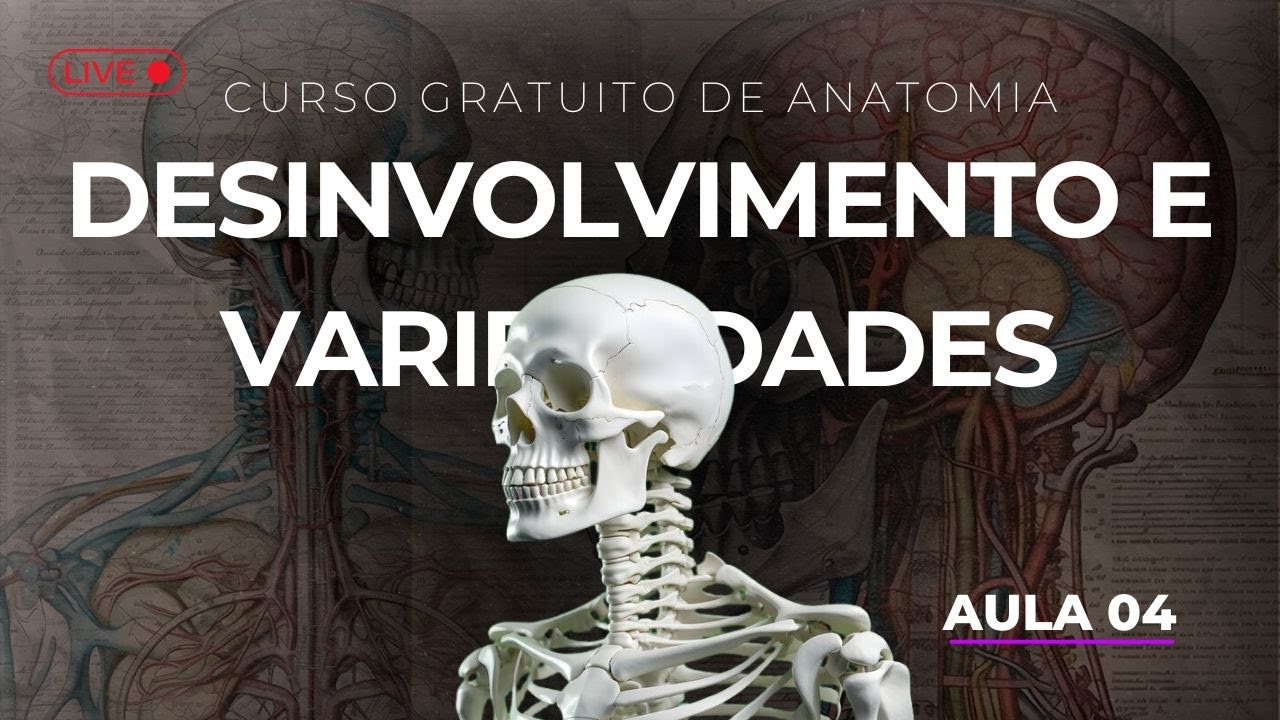 AO VIVO - AULA 04: DESENVOLVIMENTO E VARIEDADES