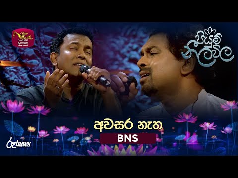Awasara Natha Mata | අවසර නැත | BNS | Piyum Neela Vila | Roo Tunes