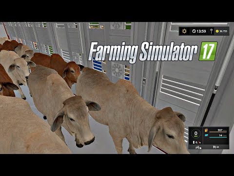 , title : 'Vacas Brasileñas Ganado Cebú | DLC Platinum Expansión | Farming Simulator 17'