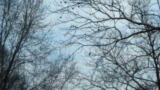 Heru Mertar Don't Go So Far Away - Al Di Meola