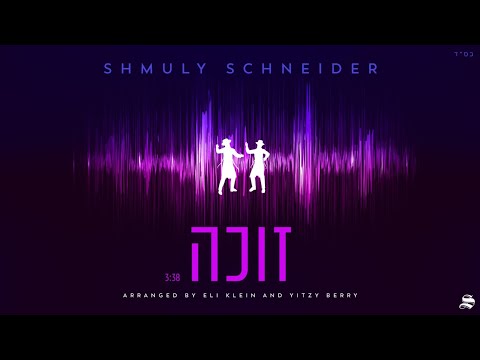 Shmuly Schneider - Zoche | שמולי שניידער - זוכה