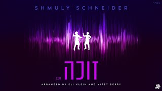 Shmuly Schneider - Zoche | שמולי שניידער - זוכה
