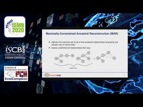 Reconstructing Tumor Evolutionary Histories and... - Linda K. Sundermann - EvolCompGen - ISMB 2020