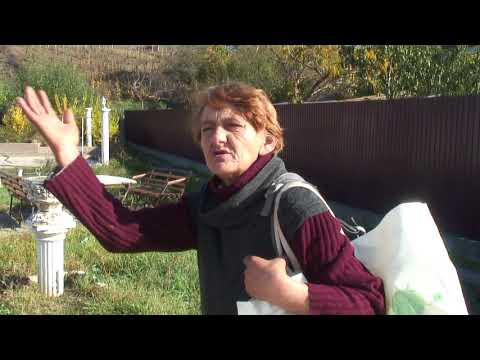 Guoaiele adunate doar din patru in patru ani la Orevita Mare