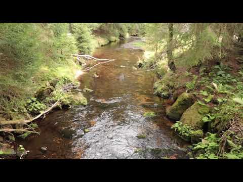 Wildnis-"Verschnauferl" von der Großen Ohe am Taferlruck