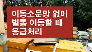 이동소문망 없이 벌통 이동할 때 긴급처리