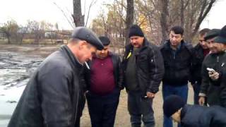 Ссылка