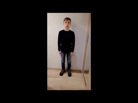 Nemanja Đelić - Miroslav Antić: "Žmurke" / Smotra recitatora Srbije 2021