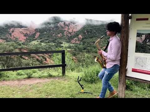 Shallow - Lady Gaga/ Bradley Cooper (Cover saxofón-Trombón)