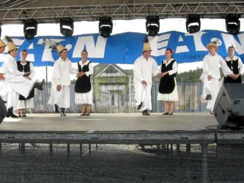 Mugurii Codrului - Baita de sub Codru (3)