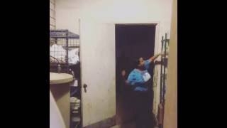 faze tari faza sperietura