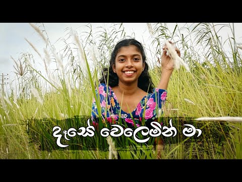 Dase Welemin Ma | Cover by Dulari Hirunika