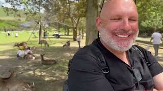 07 - Japan 2024 - Nara - Tōdai-ji Temple Park