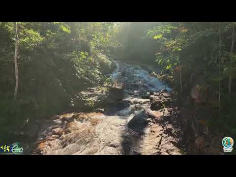 CACHOEIRAS RESERVA CABACAL PARTE IV