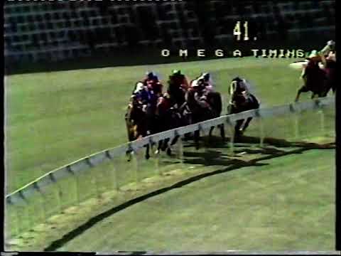 1982 AJ Moir Stakes