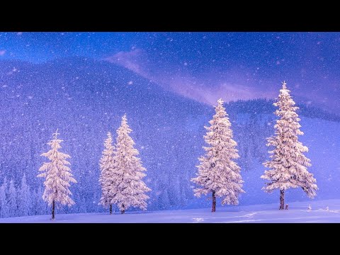 Beautiful  Christmas Music, Peaceful Piano Christmas  Music  "Christmas Winter Woods"  by Tim Janis